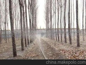 喷灌微灌 选对供应商、摸清价格、找到批发市场的全面指南