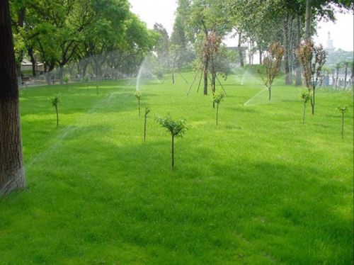 喷灌设备设计施工解析 高效浇灌的核心技术与实践