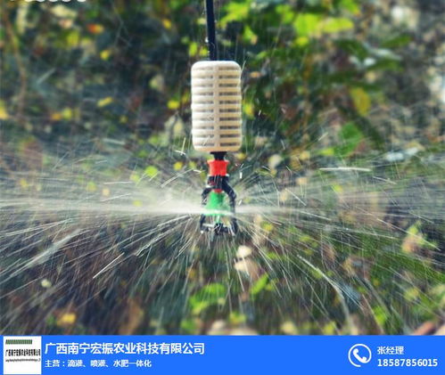 南宁果树喷灌技术革新 宏振灌溉助力现代农业高效节水