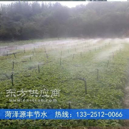 蔬菜喷灌追肥设施成本解析与效果展示